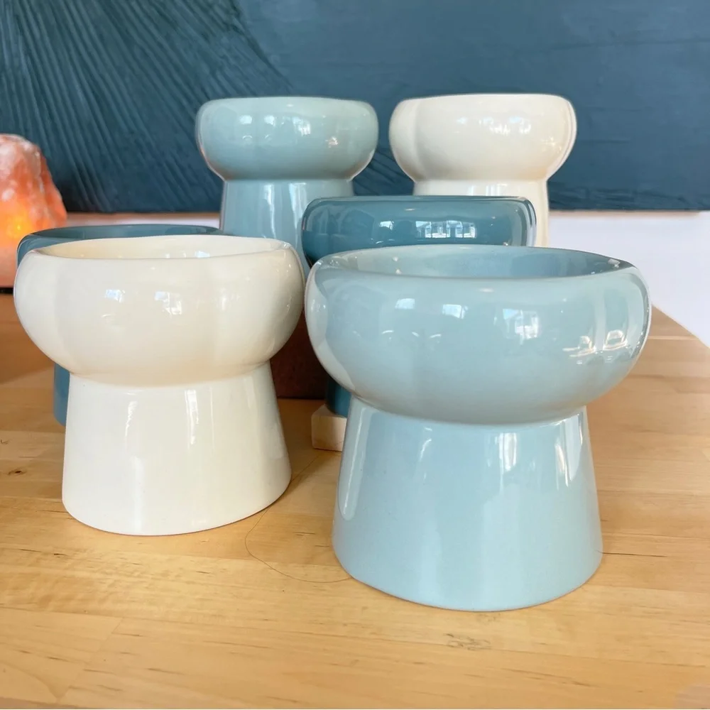 Ceramic Elevated Pet Foot Bowls Decor Cat Dog Home Small Mini Flower Cream Blue
